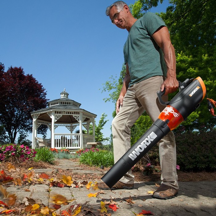 How to choose the best leaf blower