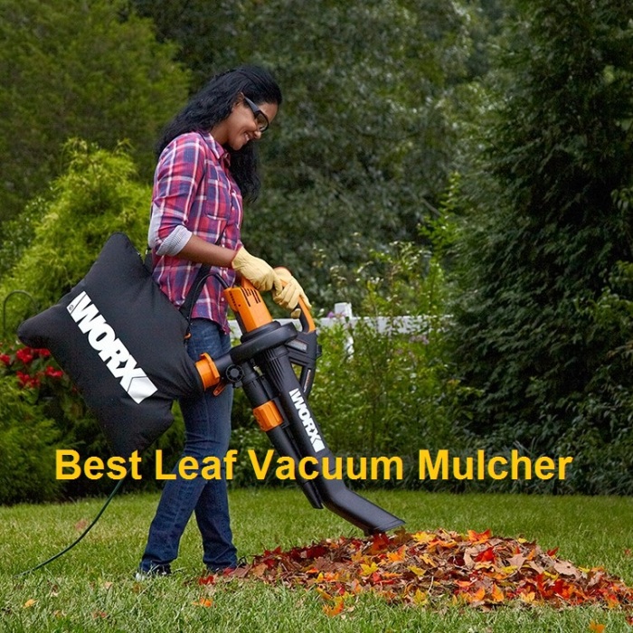 Top 8 best leaf vacuum mulcher on the market 2017