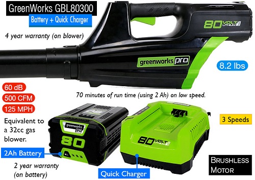GreenWorks PRO GBL80300