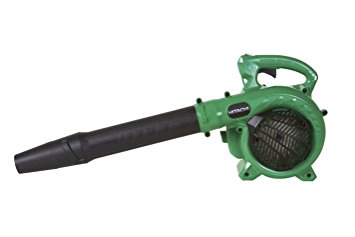 Hitachi RB24EAP Gas leaf blower