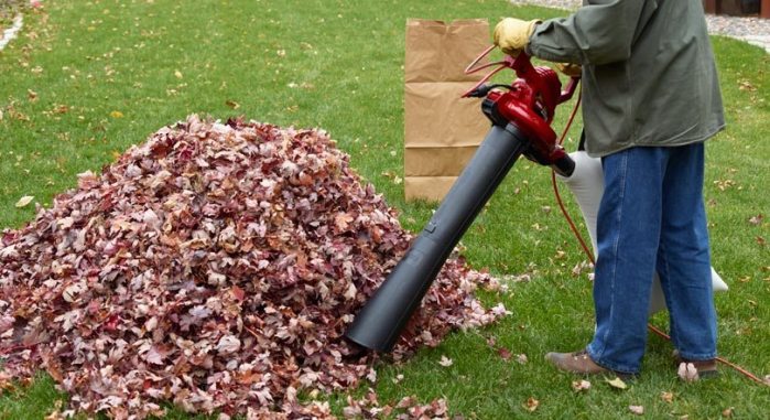 Best Leaf Mulcher Vacuum